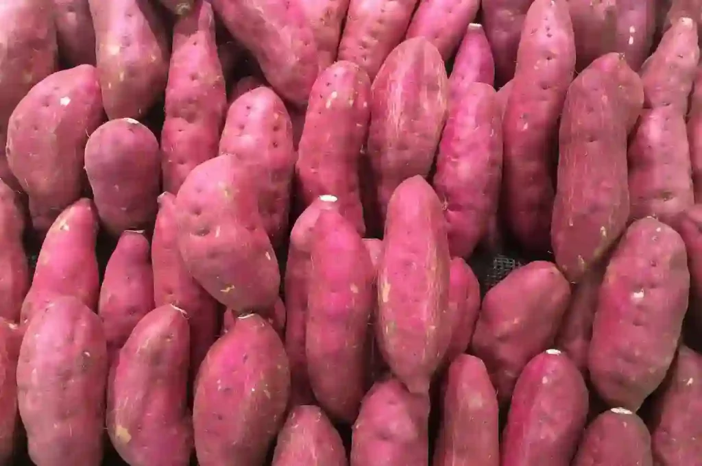 sweet potato dream