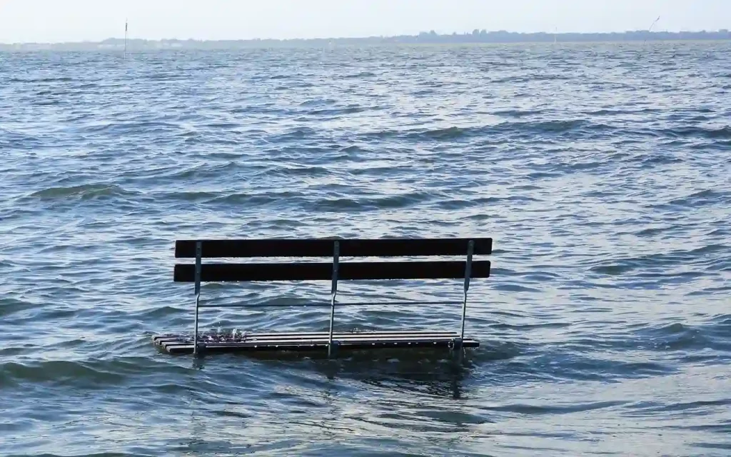 flooded bench