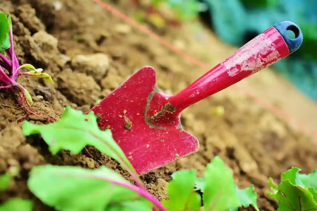 working in a garden