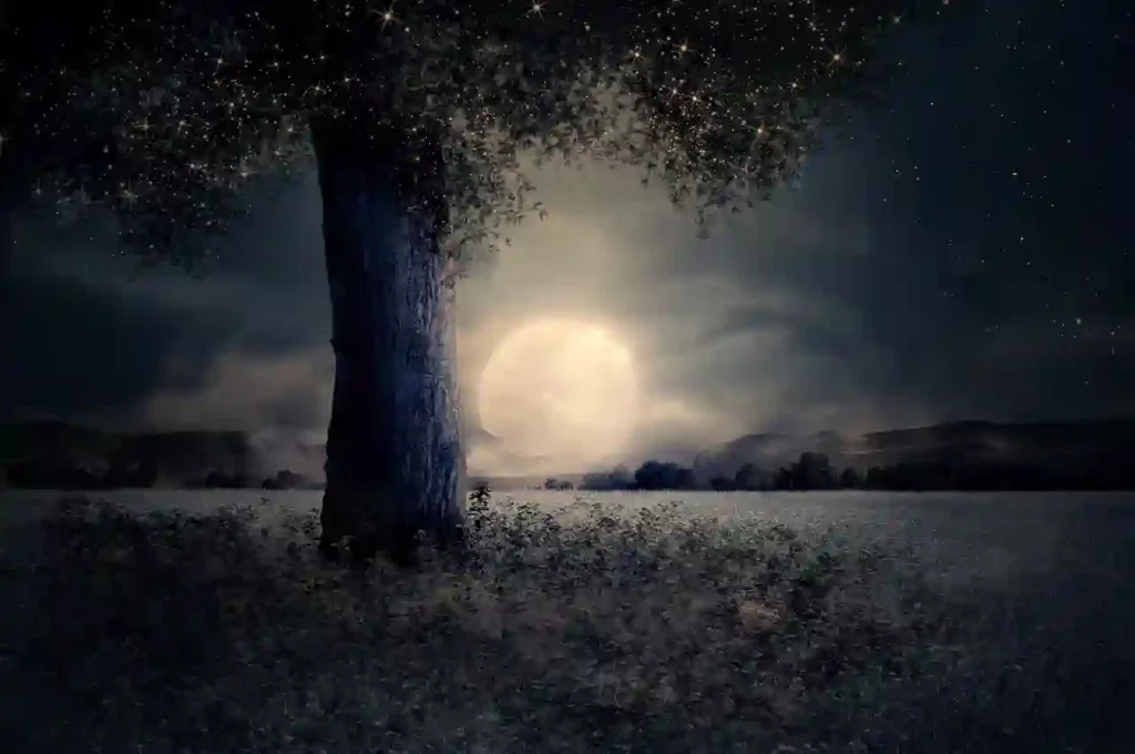 moon illuminating a tree