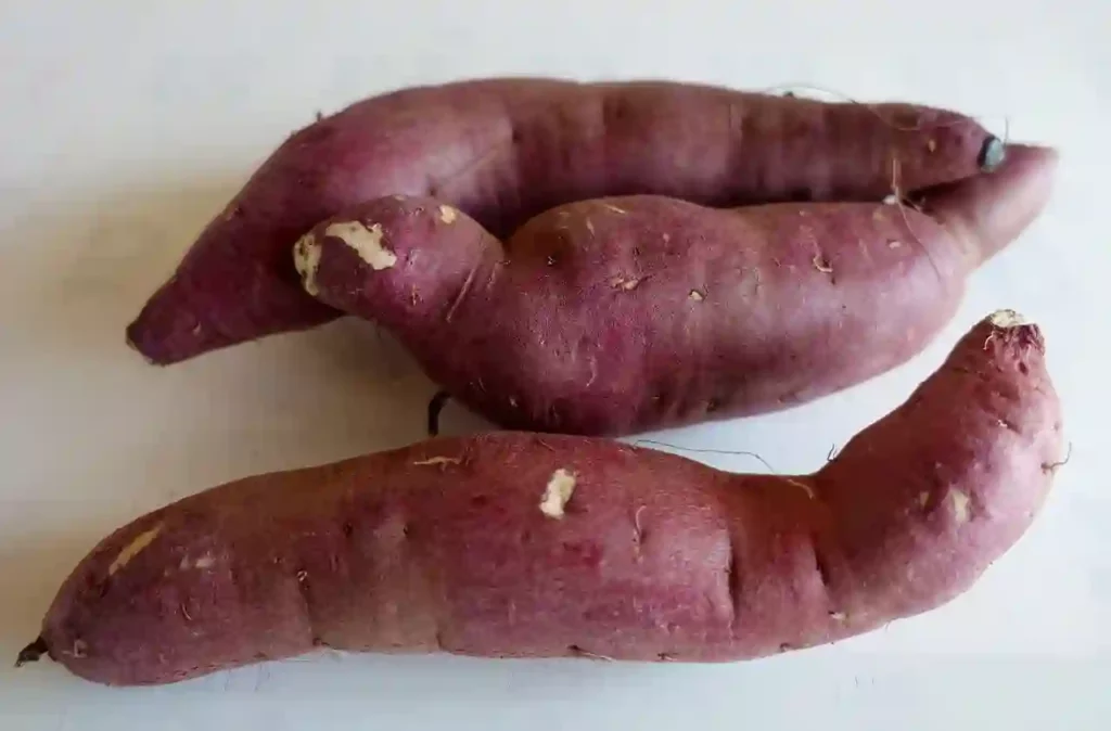 harvesting sweet potato dream meaning