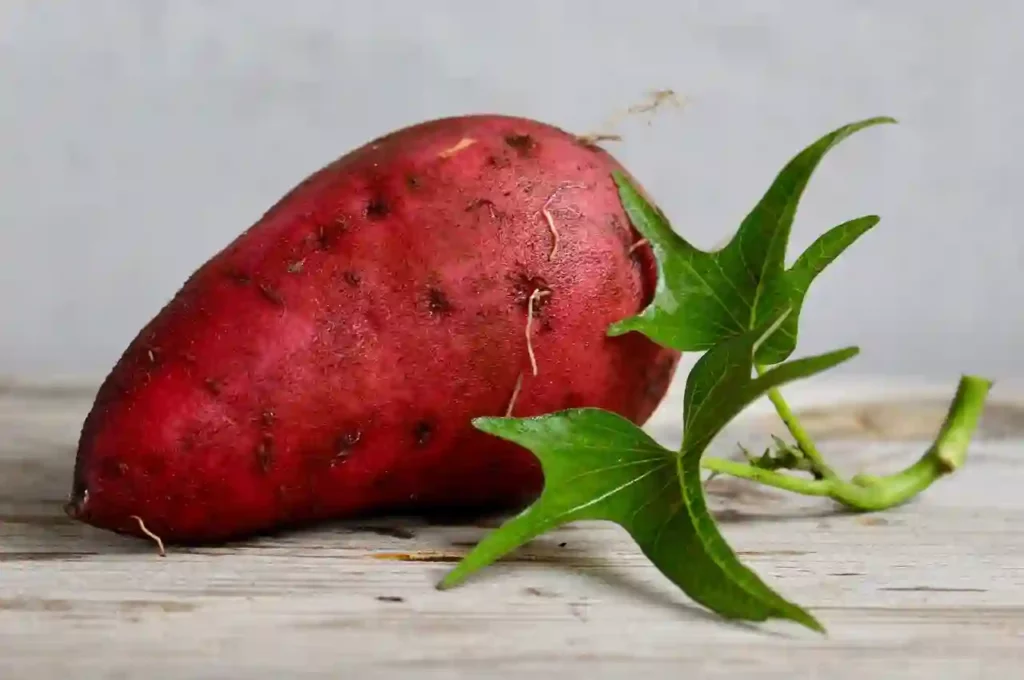 sweet potato dream symbol