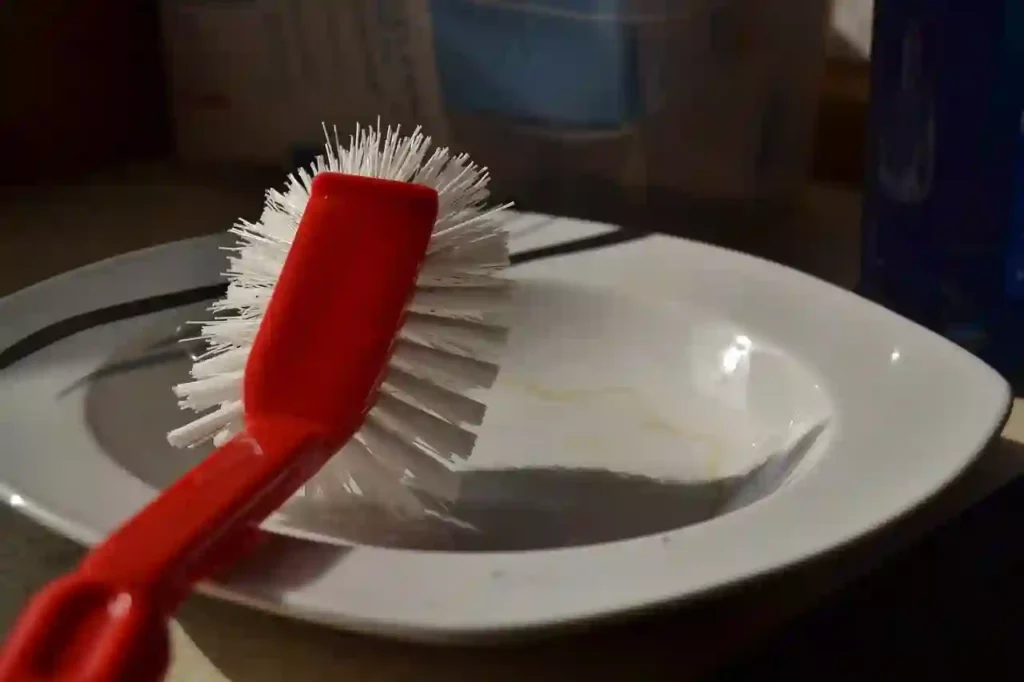 brush and dirty platter