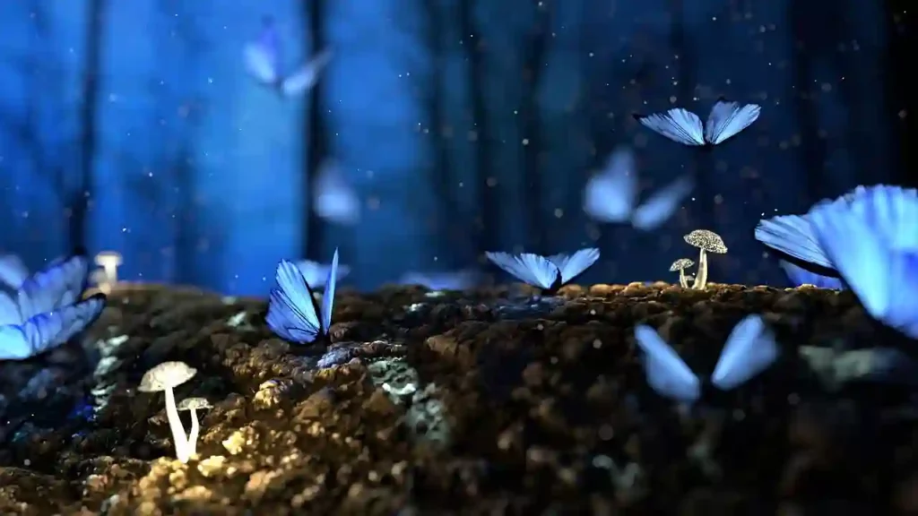 butterfly in fantasy setting