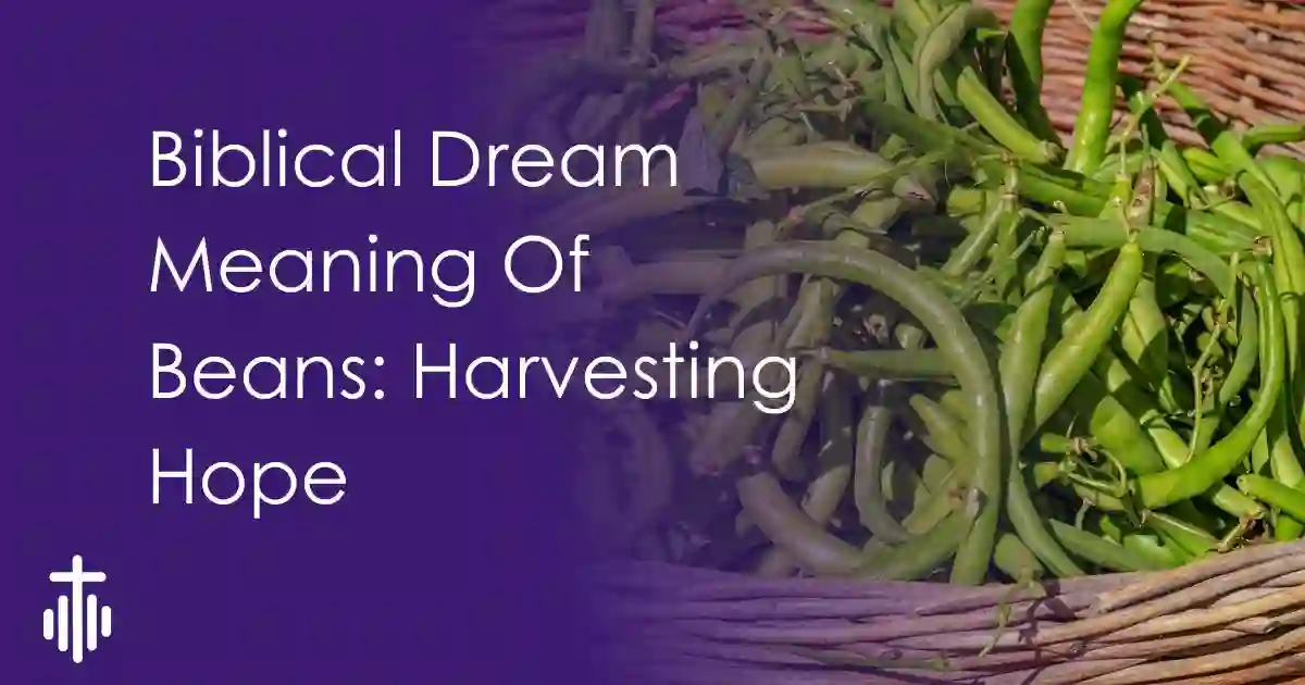 Biblical Dream Meaning Of Beans: Harvesting New Hope