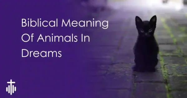Biblical Dream Meaning of animals