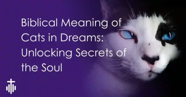 Biblical Dream Meaning of cats