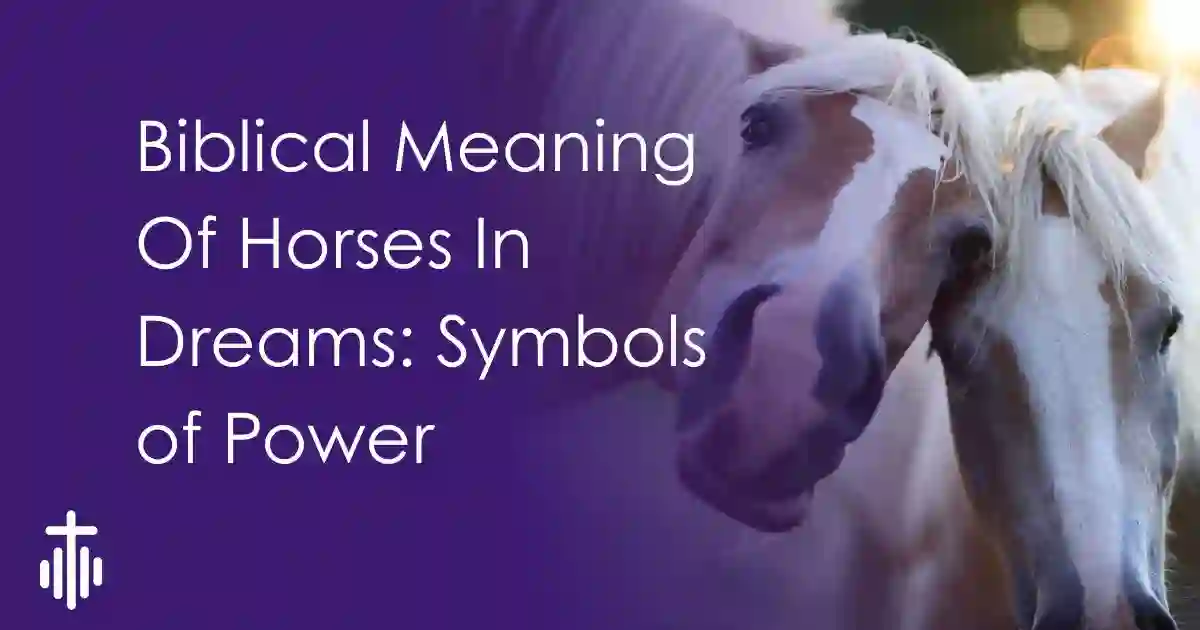 Biblical Meaning Of Horses In Dreams: Symbols of Power