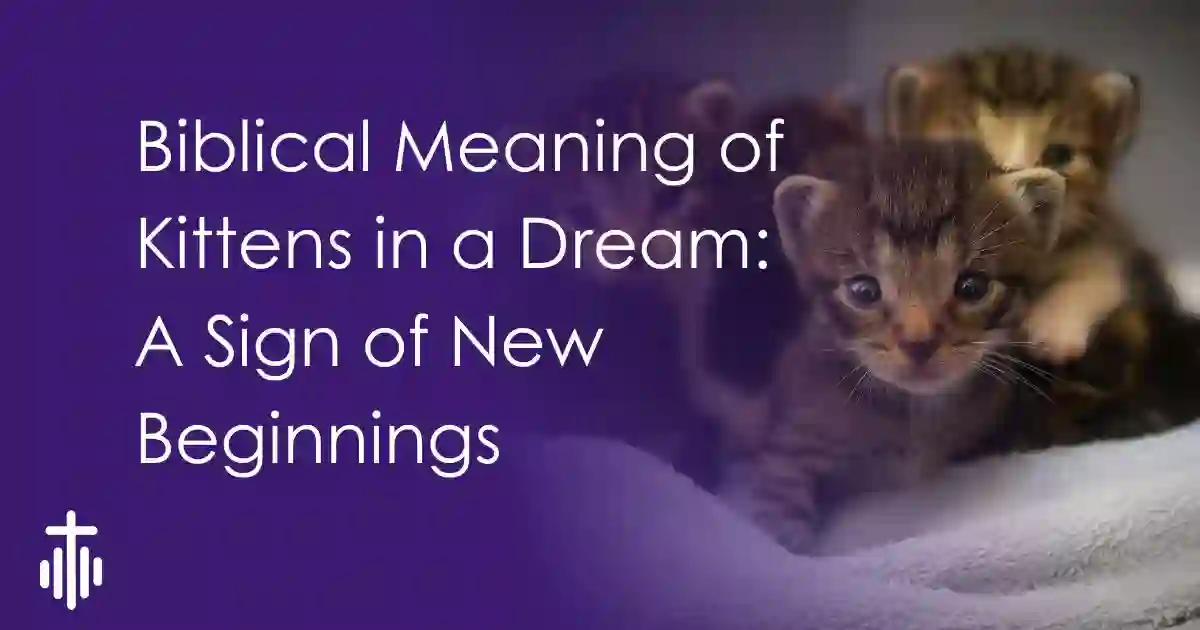 Biblical Meaning of Kittens in a Dream: A Sign of New Beginnings