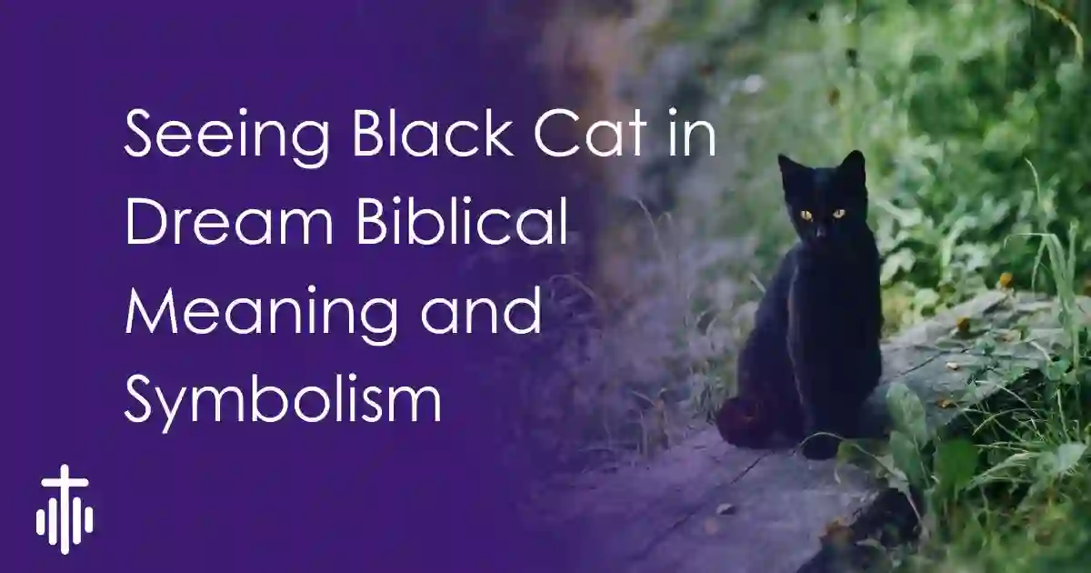 Seeing Black Cat in Dream Biblical Meaning and Symbolism