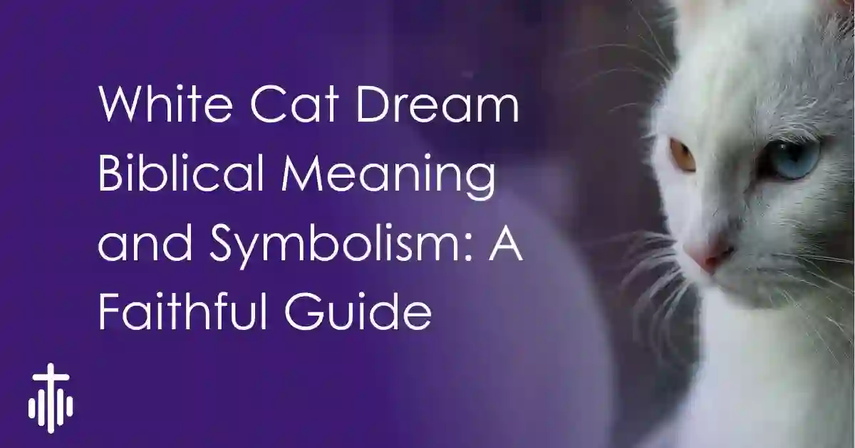 White Cat Dream Biblical Meaning and Symbolism: A Faithful Guide