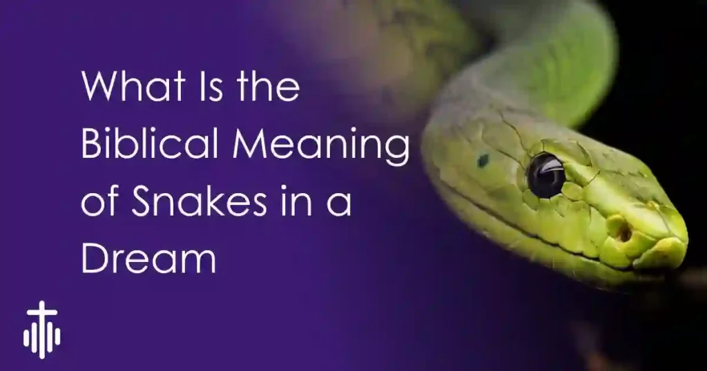 Biblical Dream Meaning of snakes