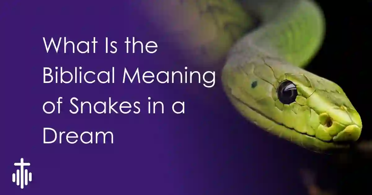 What Is the Biblical Meaning of Snakes in a Dream