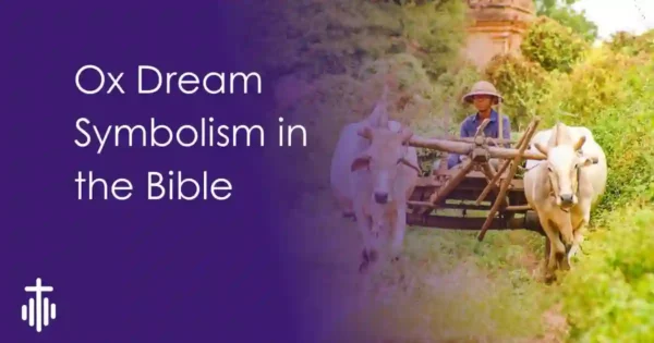 Biblical Dream Meaning of ox