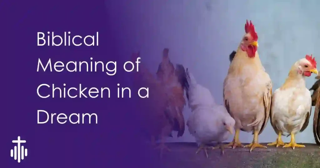 Biblical Dream Meaning of chicken